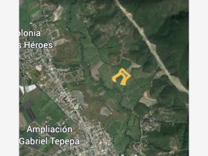 Terreno en venta en 3 de Mayo (El Tepiolol), Tlaquiltenango, Morelos