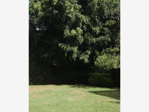 Terreno en venta en Jardines del Pedregal, Álvaro Obregón, Ciudad de México
