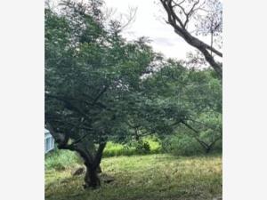 Terreno en venta en Comala, Comala, Colima