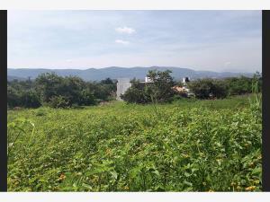 Terreno en venta en Lomas de Trujillo, Emiliano Zapata, Morelos Terreno en venta en Lomas de Trujillo, Emiliano Zapata, Morelos