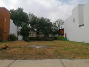 Terreno en venta en San Lorenzo, Celaya, Guanajuato
