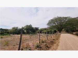 Terreno en venta en Ayuquila, El Grullo, Jalisco