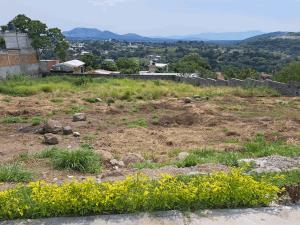 Terreno en venta en Xochitepec Centro, Xochitepec, Morelos