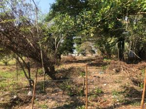 Terreno en venta en El Tejar, Medellín de Bravo, Veracruz de Ignacio de la Llave