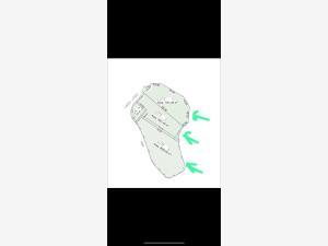 Terreno en venta en Tequesquitengo, Jojutla, Morelos