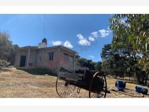 Finca-Rancho en venta en San Pedrito, Huimilpan, Querétaro