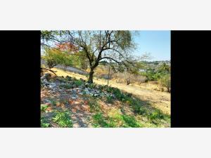Terreno en venta en Acatlipa Centro, Temixco, Morelos