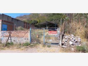 Terreno en venta en El Cerrito, El Grullo, Jalisco