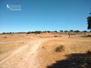 Terreno en venta en Tecate, Tecate, Baja California