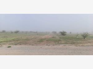 Terreno en venta en Hormiguero, Matamoros, Coahuila de Zaragoza