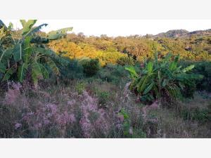 Terreno en venta en El Volador, Papantla, Veracruz de Ignacio de la Llave