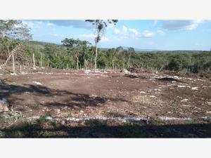 Terreno en venta en Santa Inés, Berriozábal, Chiapas