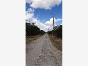 Terreno en venta en Itzincab, Umán, Yucatán