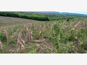 Terreno en venta en Remolino, Papantla, Veracruz de Ignacio de la Llave