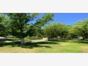 Casa en venta en Paseo de los Nogales, Juárez, Chihuahua