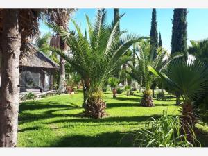 Finca-Rancho en venta en Valle Verde (Haciendas Valle Verde), Apaseo El Grande, Guanajuato