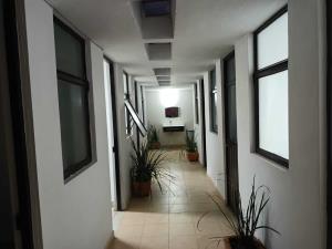 Oficina en renta en Miraval, Cuernavaca, Morelos