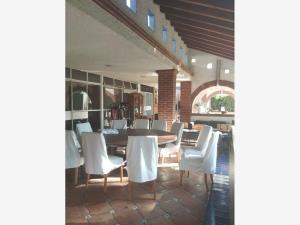 Terreno en renta en Delicias, Cuernavaca, Morelos