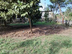 Terreno en venta en Paso Colorado, Boca del Río, Veracruz de Ignacio de la Llave