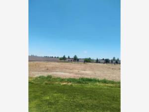 Terreno en venta en La Gran Vinícola, Gómez Palacio, Durango