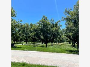 Terreno en venta en Parras, Parras, Coahuila de Zaragoza Terreno en venta en Parras, Parras, Coahuila de Zaragoza