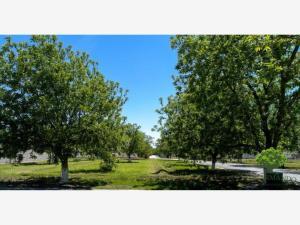 Terreno en venta en San Armando, Torreón, Coahuila de Zaragoza