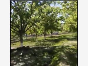 Terreno en venta en Parras de la Fuente Centro, Parras, Coahuila de Zaragoza Terreno en venta en Parras de la Fuente Centro, Parras, Coahuila de Zaragoza