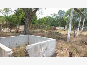 Terreno en venta en El Sauce, Manlio Fabio Altamirano, Veracruz de Ignacio de la Llave