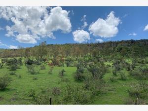 Terreno en venta en San Marcos de Begoña, San Miguel de Allende, Guanajuato