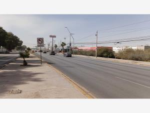 Terreno en renta en El Castaño, Torreón, Coahuila de Zaragoza