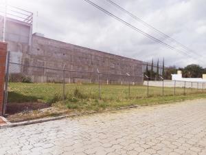 Terreno en venta en La Moraleda, Atlixco, Puebla
