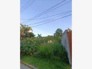 Terreno en venta en Las Fincas, Jiutepec, Morelos