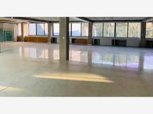 Oficina en renta en Ex-Hacienda de Guadalupe Chimalistac, Álvaro Obregón, Ciudad de México