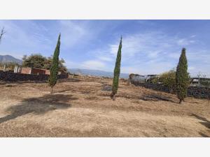 Terreno en venta en Tlayacapan Centro, Tlayacapan, Morelos