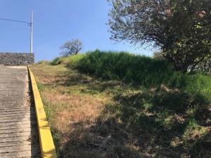 Terreno en venta en Lomas de Tzompantle, Cuernavaca, Morelos