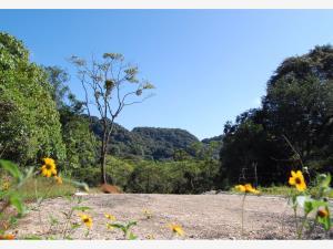 Terreno en venta en La Herradura, Coatepec, Veracruz de Ignacio de la Llave