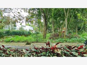 Terreno en venta en La Florida, Coatepec, Veracruz de Ignacio de la Llave