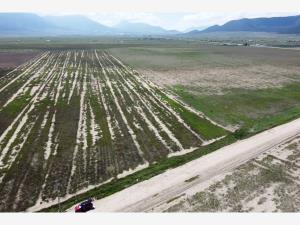 Terreno en venta en San Antonio de las Alazanas, Arteaga, Coahuila de Zaragoza Terreno en venta en San Antonio de las Alazanas, Arteaga, Coahuila de Zaragoza