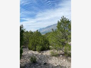 Terreno en venta en El Diamante, Arteaga, Coahuila de Zaragoza