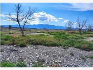 Terreno en venta en Parras de la Fuente Centro, Parras, Coahuila de Zaragoza