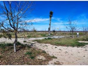 Terreno en venta en Los Hoyos (El Potrero), Parras, Coahuila de Zaragoza