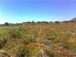 Terreno en venta en 10 de Abril, Cuautla, Morelos