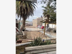 Terreno en renta en Matamoros Centro, Matamoros, Coahuila de Zaragoza