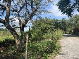 Terreno en venta en Paso Colorado, Boca del Río, Veracruz de Ignacio de la Llave Terreno en venta en Paso Colorado, Boca del Río, Veracruz de Ignacio de la Llave