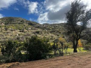 Terreno en venta en Francisco Zarco (Valle de Guadalupe), Ensenada, Baja California