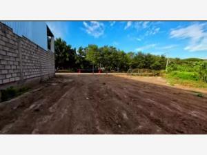 Terreno en venta en Patria, El Grullo, Jalisco