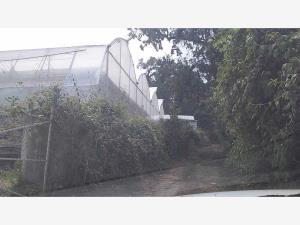 Terreno en venta en Lomas de Ahuatlán, Cuernavaca, Morelos
