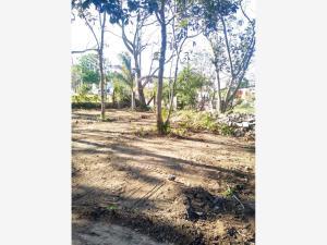 Terreno en venta en San José Novillero, Boca del Río, Veracruz de Ignacio de la Llave