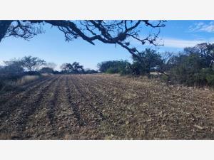 Terreno en venta en Palmillas, San Juan del Río, Querétaro