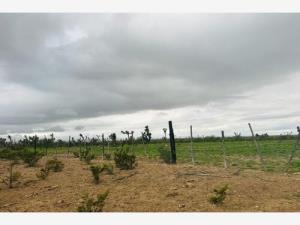 Terreno en venta en Cosme, Ramos Arizpe, Coahuila de Zaragoza
